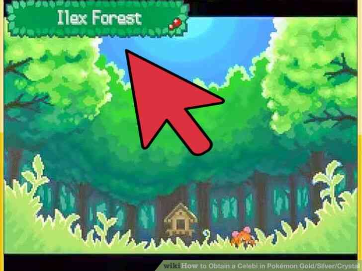 Image intitulée Attraper un Celebi à l